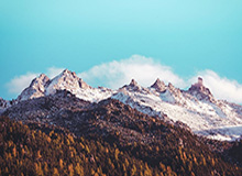 赛事服务-句号杨戬一技能回头被追击集火，狼队一波团战一换三